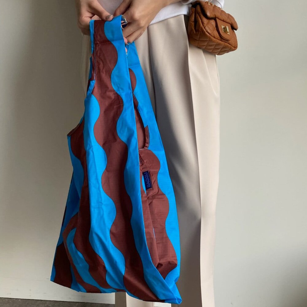 NWT Standard Baggu - Teal & Brown Wavy Stripe